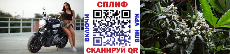 Все наркотики Корсаков Cocaine АМФЕТАМИН LSD-25 Канабис Гашиш A-PVP