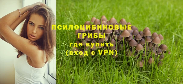 мет Балахна