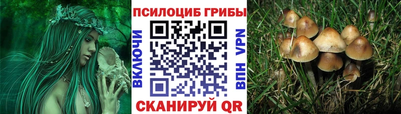 Галлюциногенные грибы Cubensis  Корсаков 
